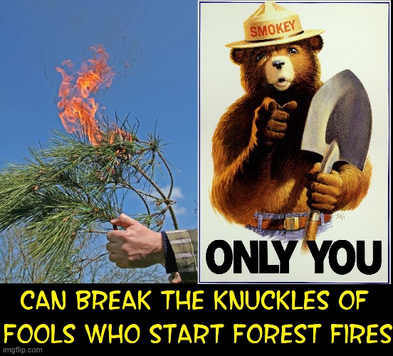 How Smokey Really Feels about Fire Bugs | image tagged in vince vance,smokey the bear,memes,forest fires,pyromaniac,only you | made w/ Imgflip meme maker