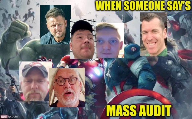 Mass audit | WHEN SOMEONE SAY’S; MASS AUDIT | image tagged in avengers | made w/ Imgflip meme maker