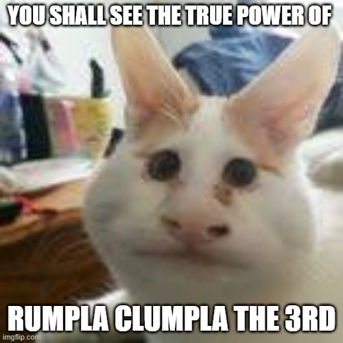 rumpla clumpla the 3rd | YOU SHALL SEE THE TRUE POWER OF; RUMPLA CLUMPLA THE 3RD | image tagged in cute cat,rumpla clumpla | made w/ Imgflip meme maker