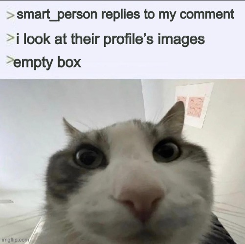 Cat looks inside | smart_person replies to my comment i look at their profile’s images empty box | image tagged in cat looks inside | made w/ Imgflip meme maker