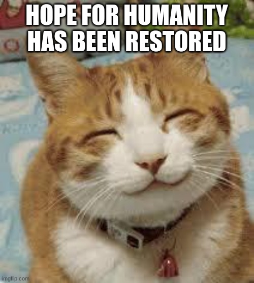 Happy cat | HOPE FOR HUMANITY HAS BEEN RESTORED | image tagged in happy cat | made w/ Imgflip meme maker