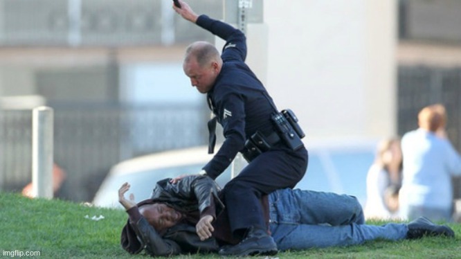 Cop Beating | image tagged in cop beating | made w/ Imgflip meme maker