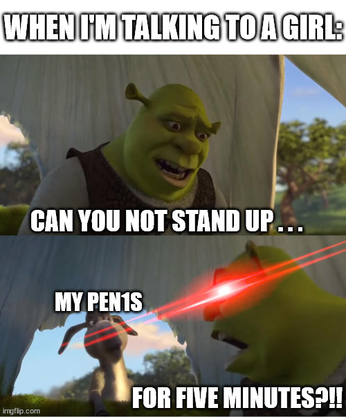 Same? | WHEN I'M TALKING TO A GIRL:; CAN YOU NOT STAND UP . . . MY PEN1S; FOR FIVE MINUTES?!! | image tagged in shrek for five minutes | made w/ Imgflip meme maker