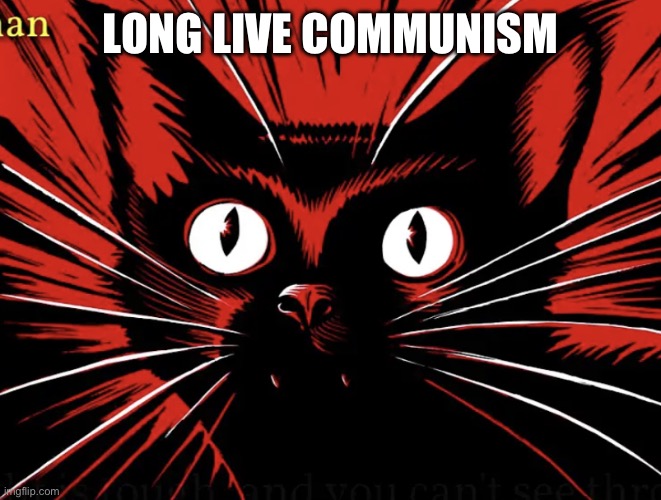 Sabo tabby | LONG LIVE COMMUNISM | image tagged in sabo tabby | made w/ Imgflip meme maker