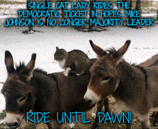 Cat and Donkeys Ride Until Dawn | SINGLE CAT LADY RIDES THE DEMOCRATIC TICKET IN HOPES MIKE JOHNSON IS NO LONGER MAJORITY LEADER; RIDE UNTIL DAWN! | image tagged in dnc,voting | made w/ Imgflip meme maker