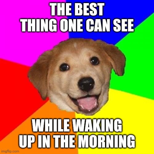 Advice Dog | THE BEST THING ONE CAN SEE; WHILE WAKING UP IN THE MORNING | image tagged in memes,advice dog | made w/ Imgflip meme maker