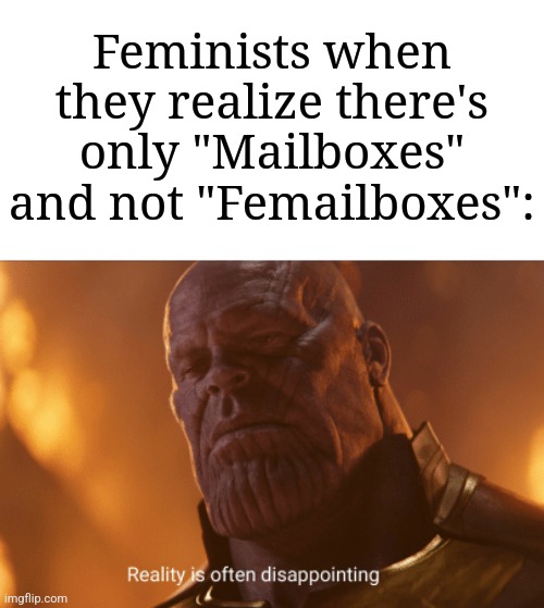 Oh well, womp womp, feminists. | Feminists when they realize there's only "Mailboxes" and not "Femailboxes": | image tagged in reality is often dissapointing,memes,funny,feminists,mailbox,stop reading the tags | made w/ Imgflip meme maker