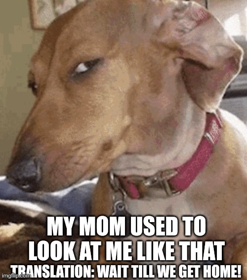 Side eye dog | MY MOM USED TO LOOK AT ME LIKE THAT; TRANSLATION: WAIT TILL WE GET HOME! | image tagged in side eye dog | made w/ Imgflip meme maker