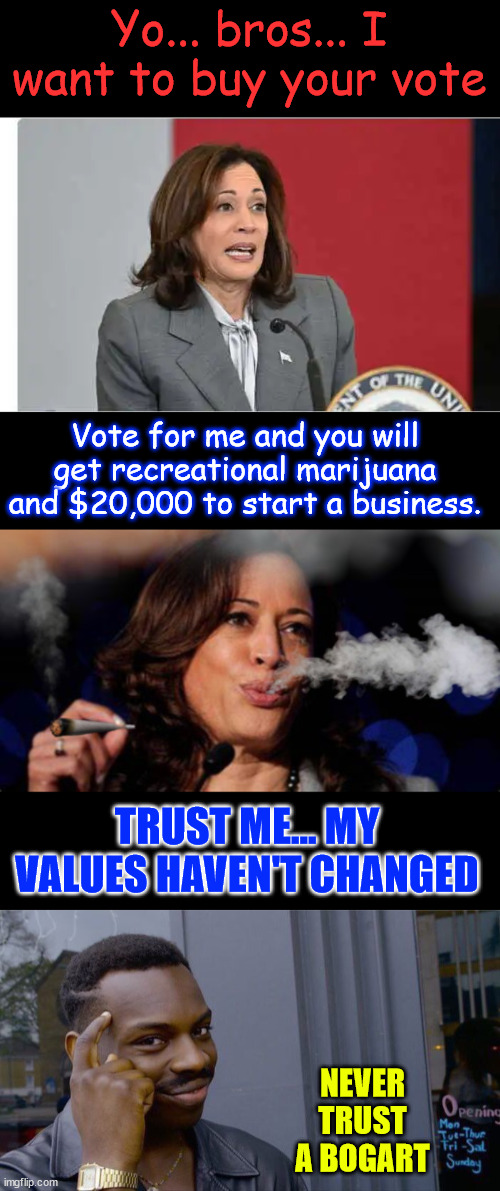 Kamala freaks after 0bama fail... Makes plea to buy the black man's vote | Yo... bros... I want to buy your vote; Vote for me and you will get recreational marijuana and $20,000 to start a business. TRUST ME... MY VALUES HAVEN'T CHANGED; NEVER TRUST A BOGART | image tagged in memes,desperate,kamala harris,buying the black man vote | made w/ Imgflip meme maker