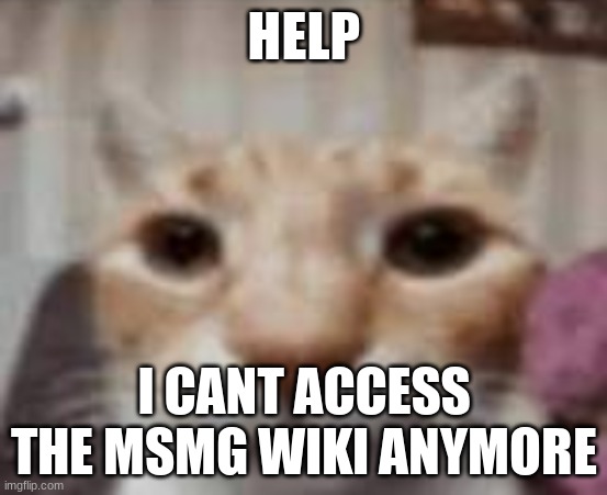 :| | HELP; I CANT ACCESS THE MSMG WIKI ANYMORE | made w/ Imgflip meme maker