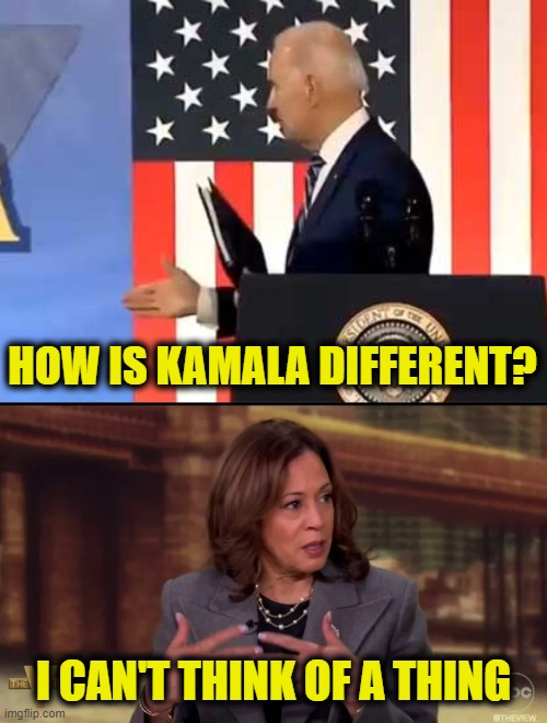 Interchangeable parts | HOW IS KAMALA DIFFERENT? I CAN'T THINK OF A THING | image tagged in kamala harris | made w/ Imgflip meme maker