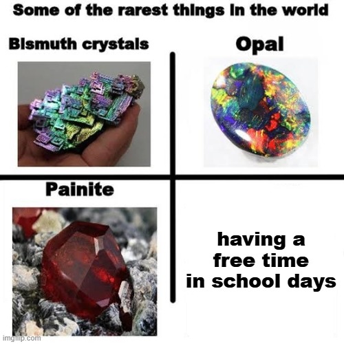 rare school day event | having a free time in school days | image tagged in some of the rarest things in the world | made w/ Imgflip meme maker