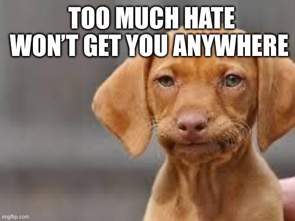 Too much hate won’t get you anywhere message | TOO MUCH HATE WON’T GET YOU ANYWHERE | image tagged in dissapointed puppy | made w/ Imgflip meme maker