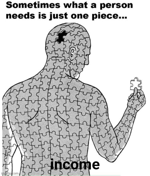 Sometimes All a Person Needs Is One Missing Piece | income | image tagged in sometimes all a person needs is one missing piece | made w/ Imgflip meme maker