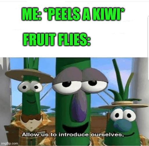 How did they get here so fast?! | ME: *PEELS A KIWI*; FRUIT FLIES: | image tagged in allow us to introduce ourselves,fruit,fly | made w/ Imgflip meme maker