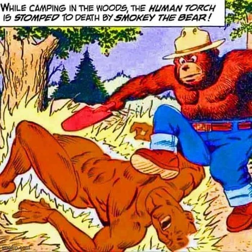 That oughta teach Torchy to stay out of the forest | image tagged in vince vance,smokey the bear,cartoons,human torch,only you,forest fires | made w/ Imgflip meme maker