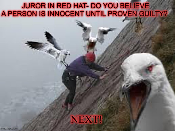 seagull attack | JUROR IN RED HAT- DO YOU BELIEVE A PERSON IS INNOCENT UNTIL PROVEN GUILTY? NEXT! | image tagged in seagull attack | made w/ Imgflip meme maker