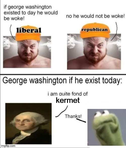 George Washington if he existed today | kermet | image tagged in george washington if he existed today | made w/ Imgflip meme maker