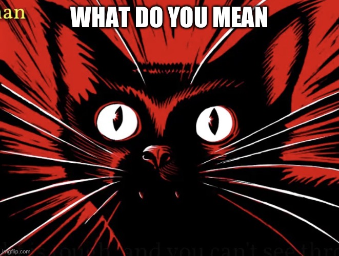 Sabo tabby | WHAT DO YOU MEAN | image tagged in sabo tabby | made w/ Imgflip meme maker