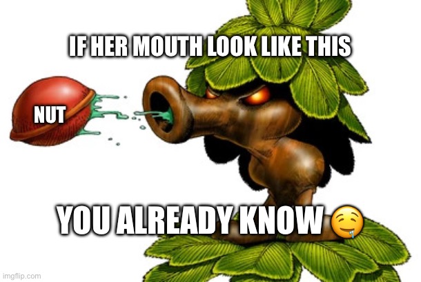 Nut | IF HER MOUTH LOOK LIKE THIS; NUT; YOU ALREADY KNOW 🤤 | image tagged in nut,zelda,no nut november,memes,disney,donald trump | made w/ Imgflip meme maker