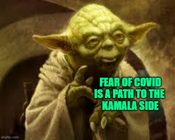 yoda | FEAR OF COVID
IS A PATH TO THE 
KAMALA SIDE | image tagged in yoda | made w/ Imgflip meme maker