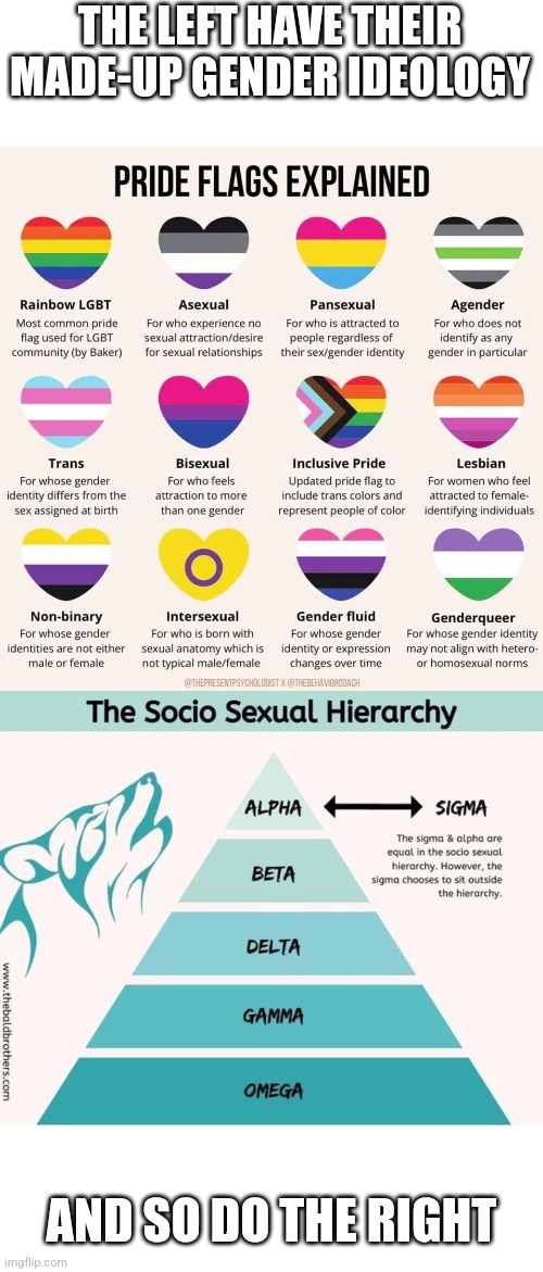 The whole concept of sigma, alpha, beta whatever male is the right-wing equivalent of LGBTQ+ gender ideology | THE LEFT HAVE THEIR MADE-UP GENDER IDEOLOGY; AND SO DO THE RIGHT | image tagged in lgbtq,gender confusion,liberal logic,conservative logic,men,toxic masculinity | made w/ Imgflip meme maker