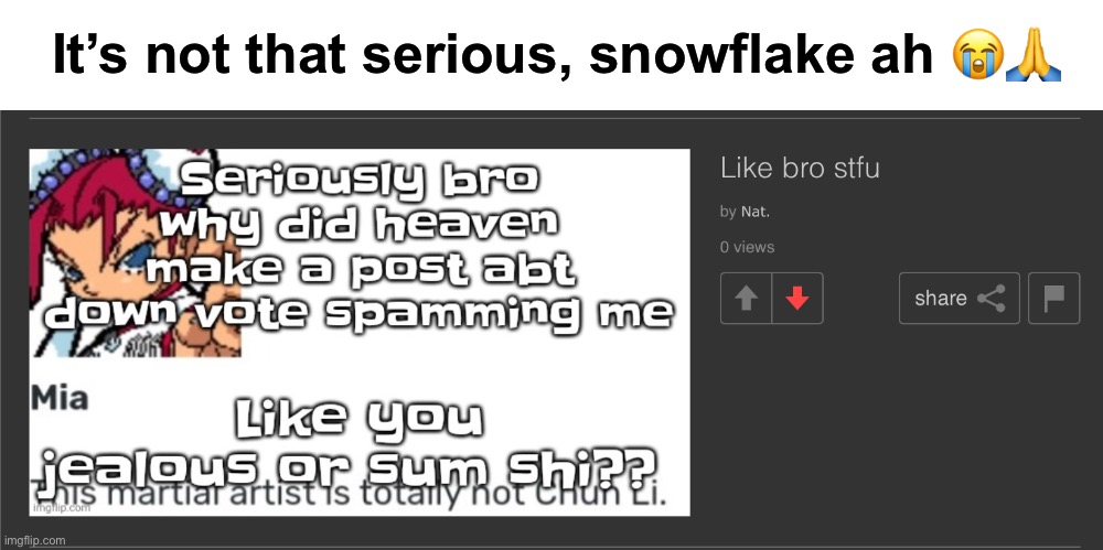 Is fun | It’s not that serious, snowflake ah 😭🙏 | made w/ Imgflip meme maker