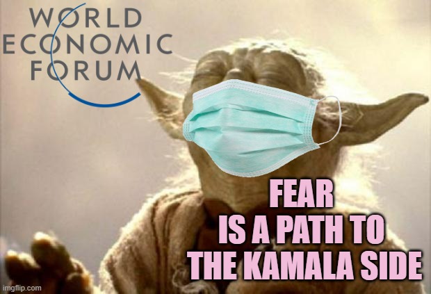 yoda smell | FEAR 
IS A PATH TO 
THE KAMALA SIDE | image tagged in yoda smell | made w/ Imgflip meme maker