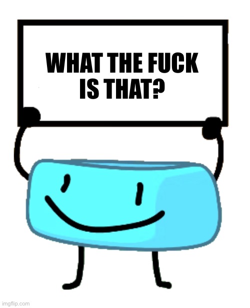 Bracelety Sign | WHAT THE FUCK IS THAT? | image tagged in bracelety sign | made w/ Imgflip meme maker