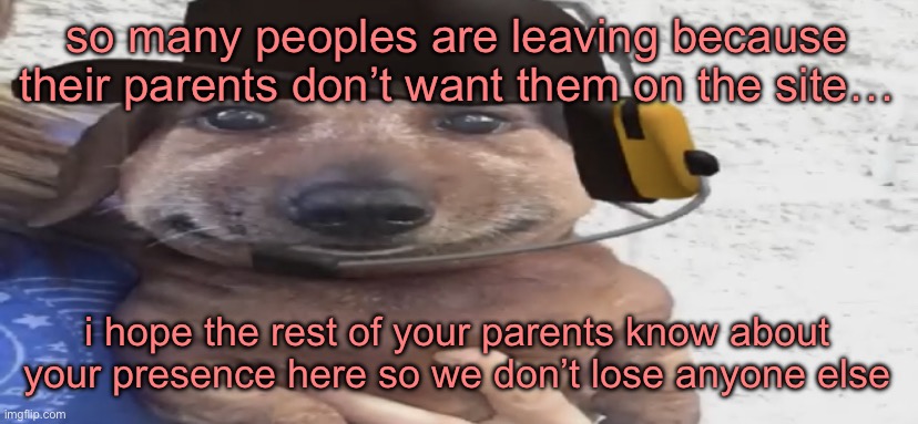 chucklenuts | so many peoples are leaving because their parents don’t want them on the site…; i hope the rest of your parents know about your presence here so we don’t lose anyone else | image tagged in chucklenuts | made w/ Imgflip meme maker