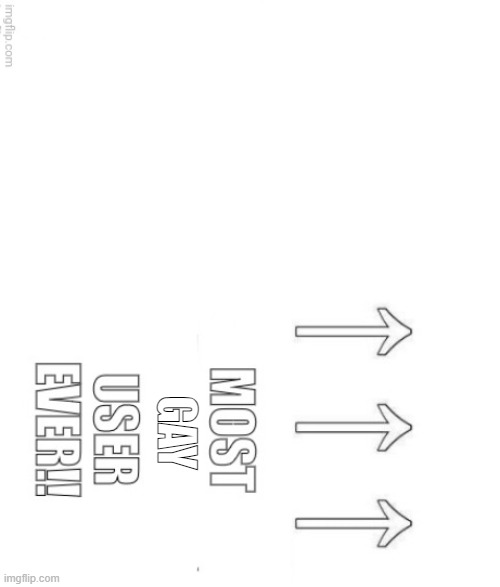 The most user ever | GAY | image tagged in the most user ever | made w/ Imgflip meme maker
