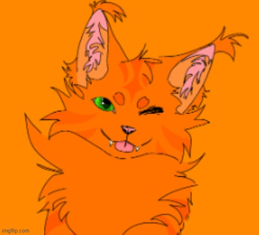 Firestarr | image tagged in cat,warrior cats,art | made w/ Imgflip meme maker