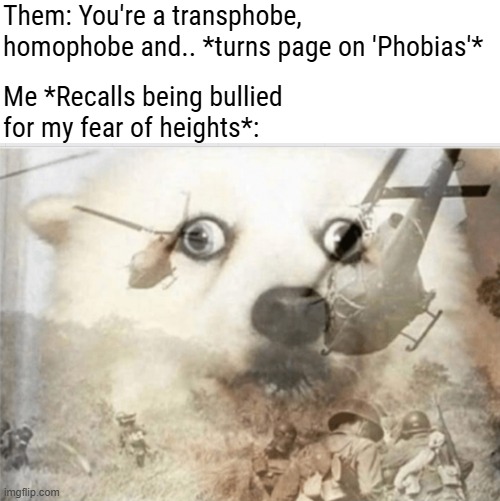 PTSD dog | Them: You're a transphobe, homophobe and.. *turns page on 'Phobias'*; Me *Recalls being bullied for my fear of heights*: | image tagged in ptsd dog,funny,sarcasm | made w/ Imgflip meme maker