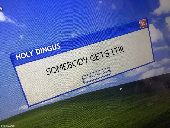 Why is my computer like this. | HOLY DINGUS SOMEBODY GETS IT!!! my dad sure don't | image tagged in why is my computer like this | made w/ Imgflip meme maker