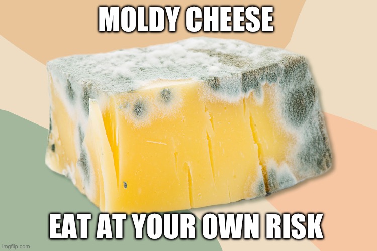 Warning: eat this cheese at your own risk! | MOLDY CHEESE; EAT AT YOUR OWN RISK | image tagged in moldy cheese,warning sign,cheese | made w/ Imgflip meme maker