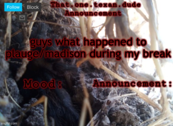 THE that.one.texan.dude announcement template | guys what happened to plauge/madison during my break | image tagged in the that one texan dude announcement template | made w/ Imgflip meme maker