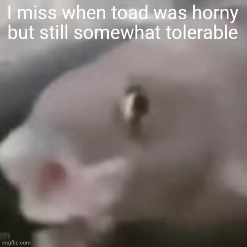 fih | I miss when toad was horny but still somewhat tolerable | image tagged in fih | made w/ Imgflip meme maker