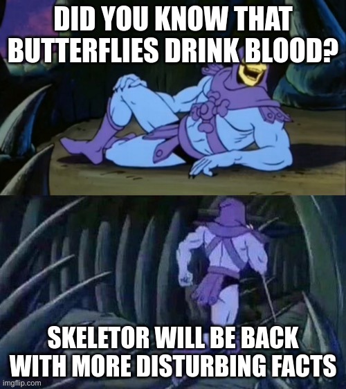 Skeletor disturbing facts | DID YOU KNOW THAT BUTTERFLIES DRINK BLOOD? SKELETOR WILL BE BACK WITH MORE DISTURBING FACTS | image tagged in skeletor disturbing facts | made w/ Imgflip meme maker