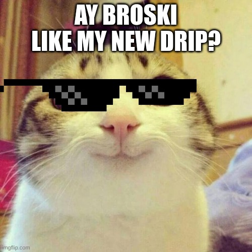 cat with drip | AY BROSKI LIKE MY NEW DRIP? | image tagged in memes,smiling cat | made w/ Imgflip meme maker