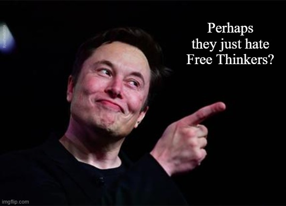 Elon Hate | Perhaps they just hate Free Thinkers? RyanFrodle2024 | image tagged in elon musk | made w/ Imgflip meme maker