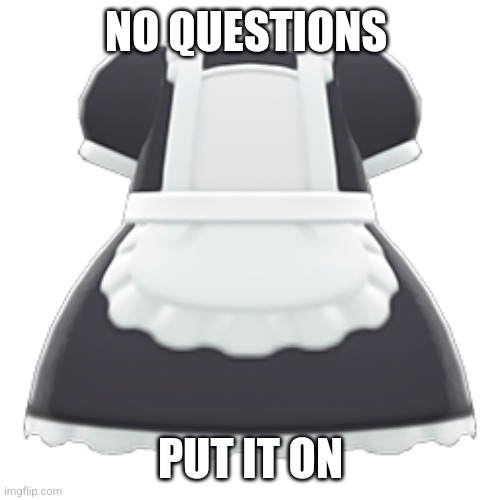 maid outfit | NO QUESTIONS PUT IT ON | image tagged in maid outfit | made w/ Imgflip meme maker