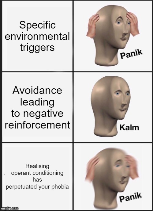 Specific Phobias VCE Psychology | Specific environmental triggers; Avoidance leading to negative reinforcement; Realising operant conditioning has perpetuated your phobia | image tagged in memes,panik kalm panik | made w/ Imgflip meme maker