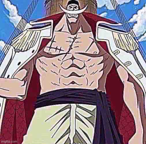 the one piece is real | image tagged in the one piece is real | made w/ Imgflip meme maker