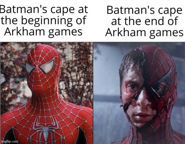 Batman's cape | image tagged in batman,cape,memes,repost,reposts,games | made w/ Imgflip meme maker