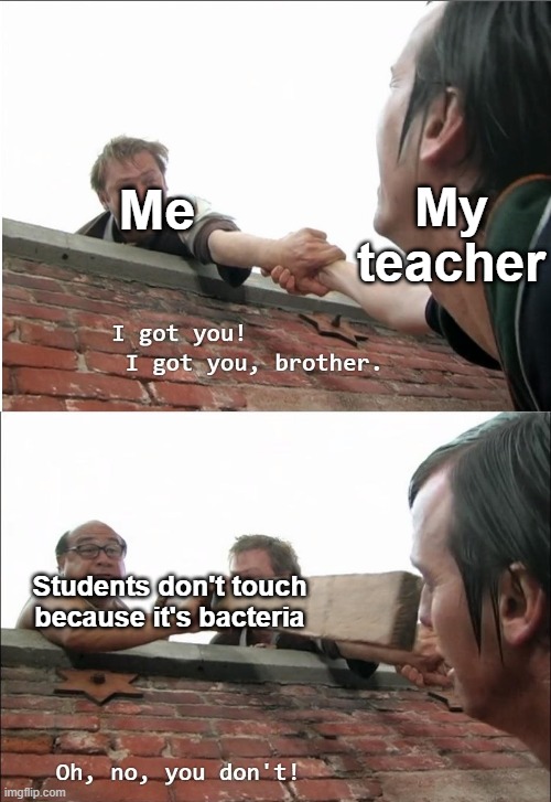 I didn't try to touch my students | My teacher; Me; Students don't touch because it's bacteria | image tagged in i got you brother,memes,funny | made w/ Imgflip meme maker