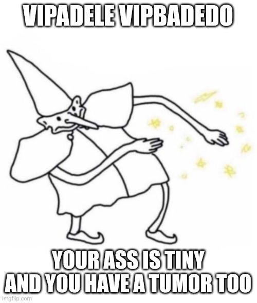 Wizard | VIPADELE VIPBADEDO; YOUR ASS IS TINY AND YOU HAVE A TUMOR TOO | image tagged in wizard | made w/ Imgflip meme maker