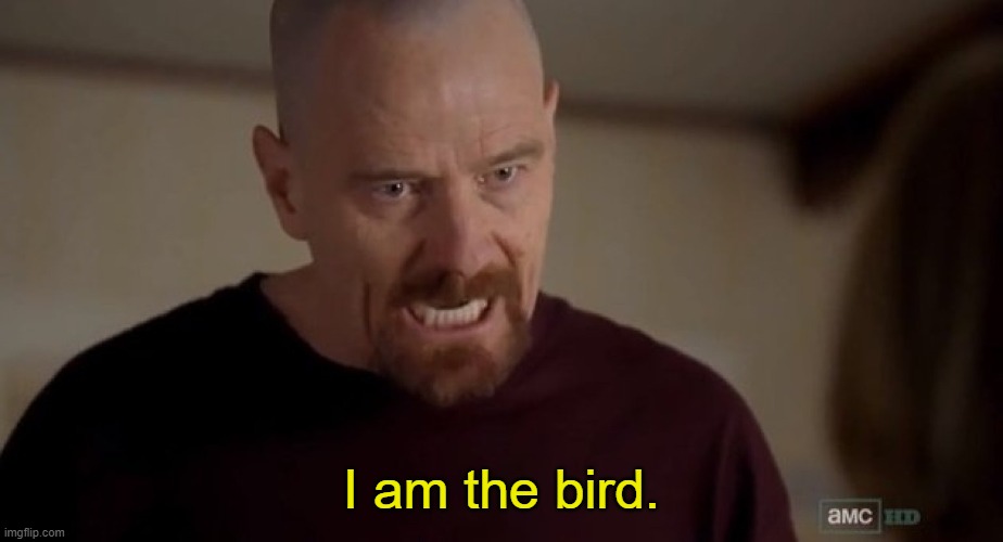 I am the one who knocks | I am the bird. | image tagged in i am the one who knocks | made w/ Imgflip meme maker