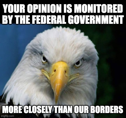 And in the UK, you could be put in jail over an offensive FB post | YOUR OPINION IS MONITORED BY THE FEDERAL GOVERNMENT; MORE CLOSELY THAN OUR BORDERS | image tagged in american bald eagle,freedom of speech,unpopular opinion,tyranny | made w/ Imgflip meme maker