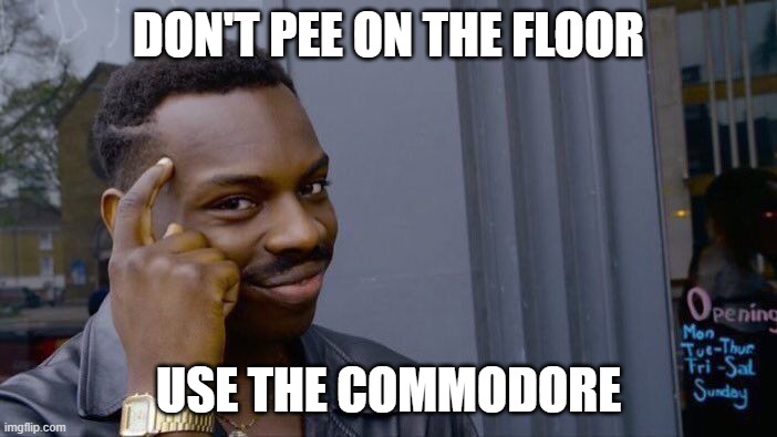 Stupid Invaders Fuygo Fish | DON'T PEE ON THE FLOOR; USE THE COMMODORE | image tagged in memes,roll safe think about it,funny memes,stupid,video games,sega | made w/ Imgflip meme maker