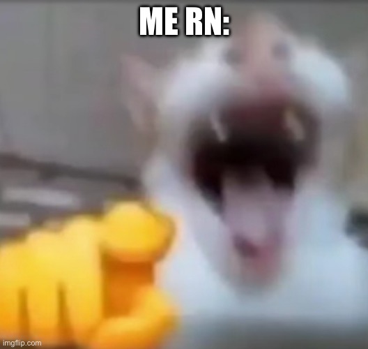 Cat pointing and laughing | ME RN: | image tagged in cat pointing and laughing | made w/ Imgflip meme maker